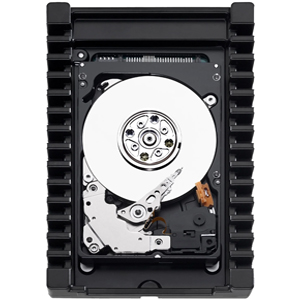 Жесткий диск Western Digital WD3000HLHX