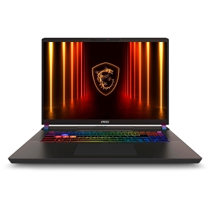 Ноутбук MSI Vector 17 HX AI 17" A2XWJG-099XRU