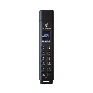 Флеш накопитель DataLocker Sentry K300 256GB