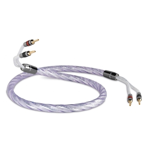 Кабель QED Genesis Pre-Term Cable 2.5m
