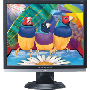 Монитор Viewsonic VA916 19"