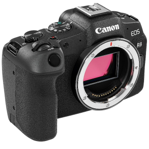 Беззеркальный полнокадровый фотоаппарат Canon EOS R8 Body Черный