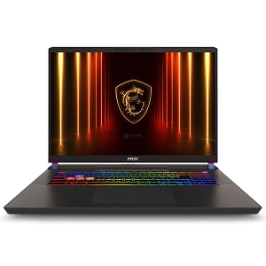 Ноутбук MSI Vector 17 HX AI A2XWHG-240XRU 17" 9S7-17S372-240