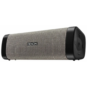 Портативная акустика Denon Envaya DSB-250 Grey
