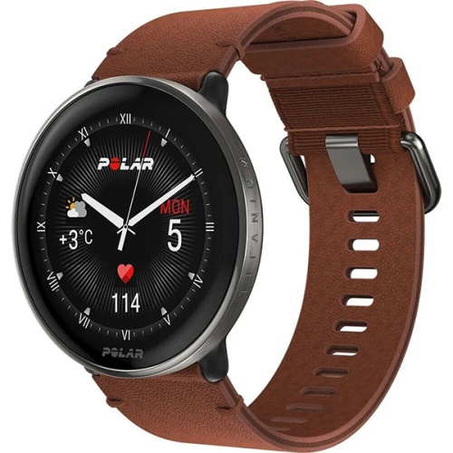 Часы Polar Ignite 3 Titanium Brown